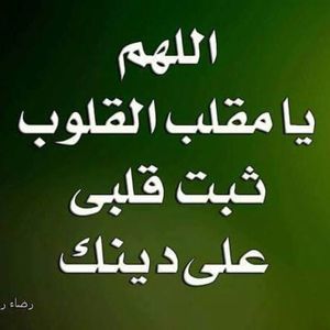 Meet your Posher, Awes